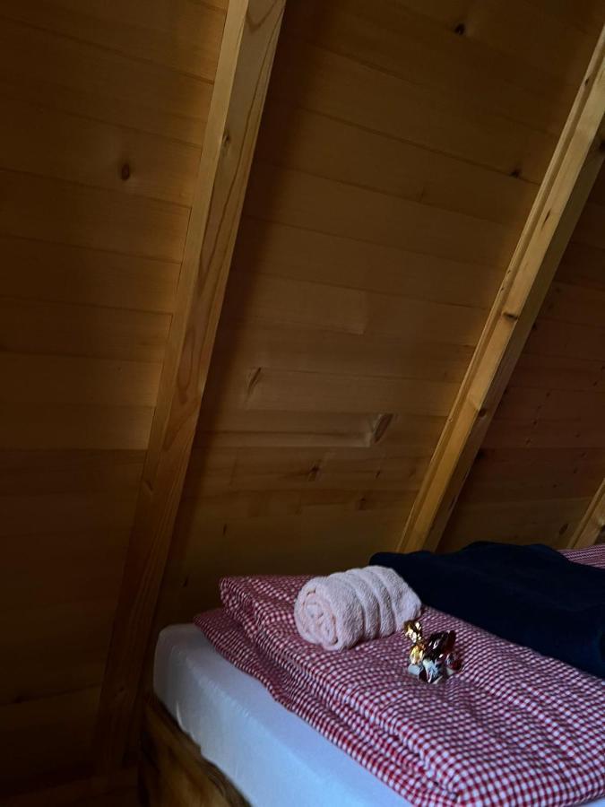 Brvnare.Smaka Villa Sjenica Kültér fotó